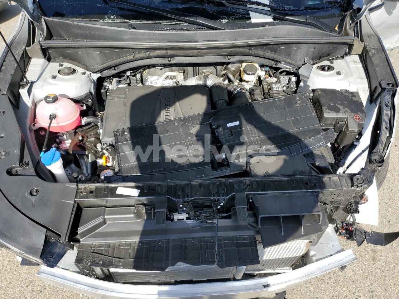 Photo 12 of 2025 KIA SORENTO SX (VIN 5XYRKDJF0SG402576)