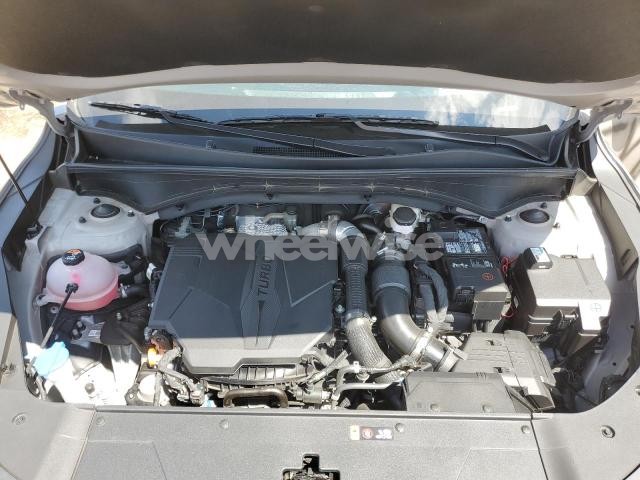 Photo 14 of 2025 KIA SORENTO SX (VIN 5XYRKDJF2SG329355)