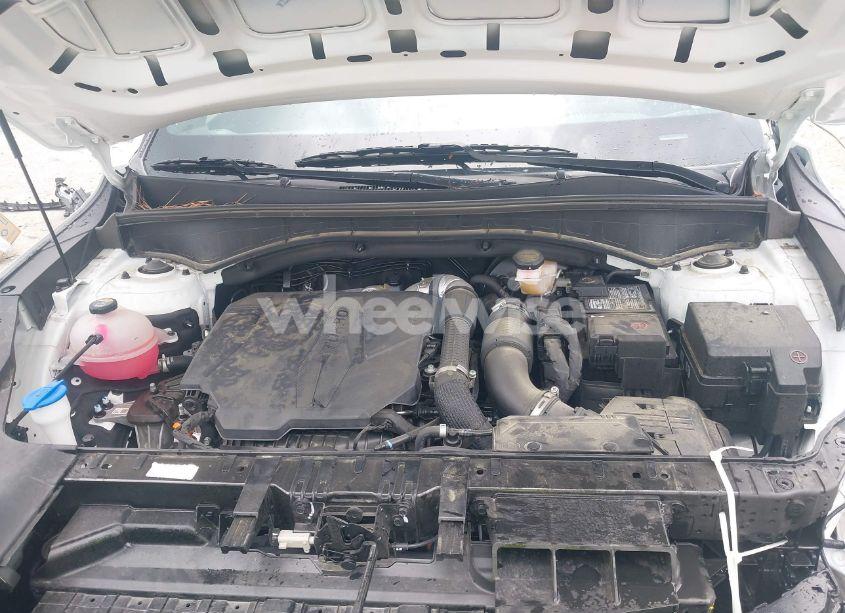 Photo 10 of 2024 Kia Sorento X-PRO SX PRESTIGE (VIN 5XYRKDJF5RG271333)