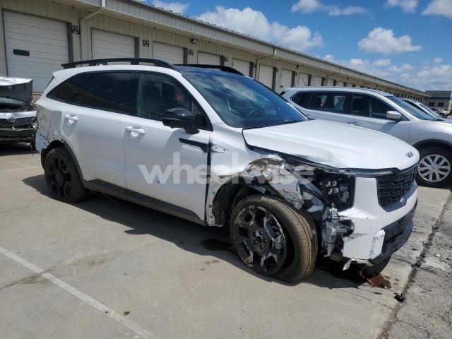 Photo 12 of 2025 KIA SORENTO SX (VIN 5XYRKDJF7SG316598)