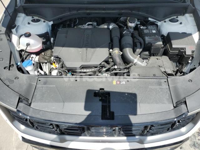 Photo 4 of 2025 KIA SORENTO SX (VIN 5XYRKDJF7SG316598)