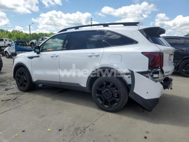 Photo 9 of 2025 KIA SORENTO SX (VIN 5XYRKDJF7SG316598)