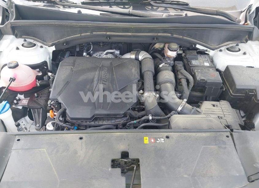 Photo 10 of 2024 Kia Sorento X-LINE SX (VIN 5XYRKDJF9RG259993)