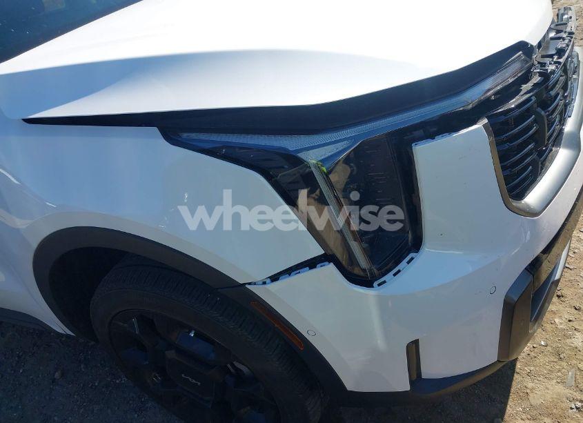 Photo 18 of 2024 Kia Sorento X-LINE SX (VIN 5XYRKDJF9RG259993)