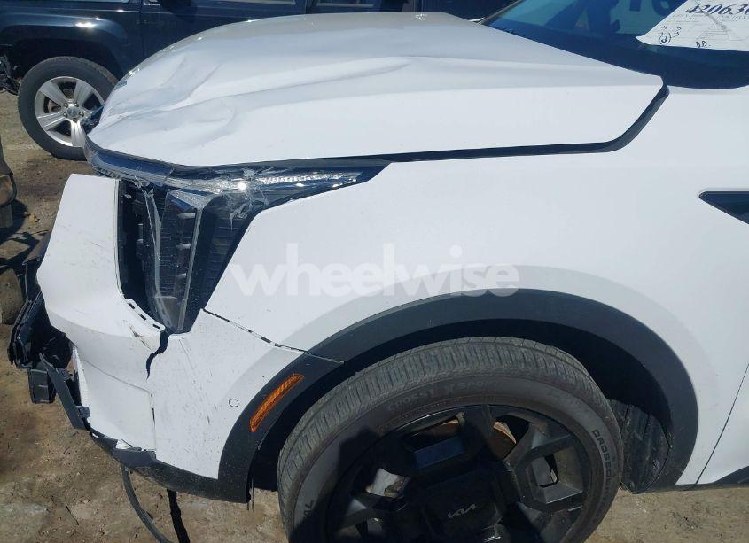 Photo 19 of 2024 Kia Sorento X-LINE SX (VIN 5XYRKDJF9RG259993)