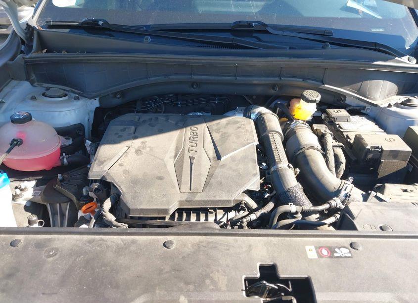 Photo 10 of 2022 Kia Sorento SX (VIN 5XYRKDLF0NG111030)