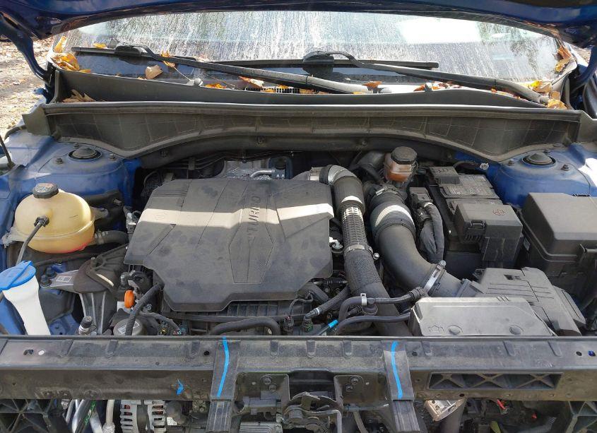 Photo 10 of 2021 Kia Sorento SX (VIN 5XYRKDLF1MG048065)