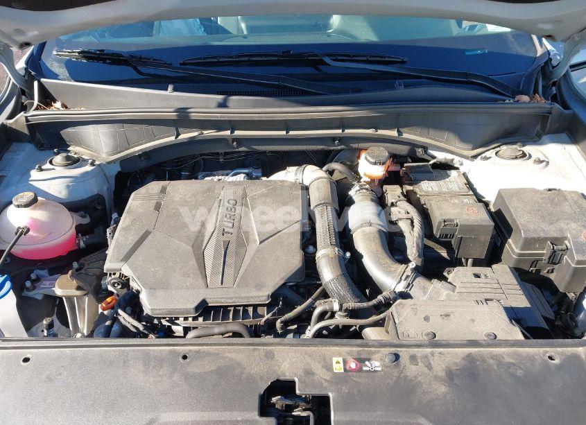 Photo 10 of 2023 Kia Sorento SX (VIN 5XYRKDLF2PG191692)