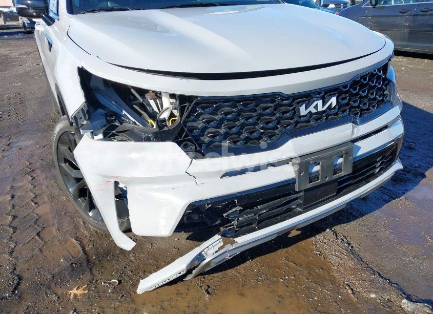Photo 18 of 2023 Kia Sorento SX (VIN 5XYRKDLF2PG191692)
