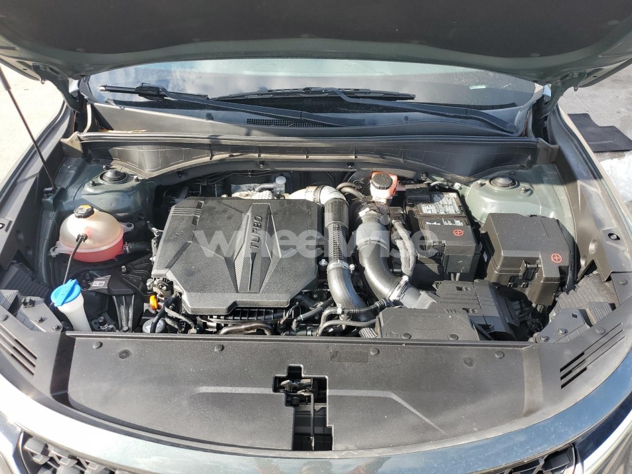 Photo 11 of 2021 KIA SORENTO SX (VIN 5XYRKDLF3MG012460)