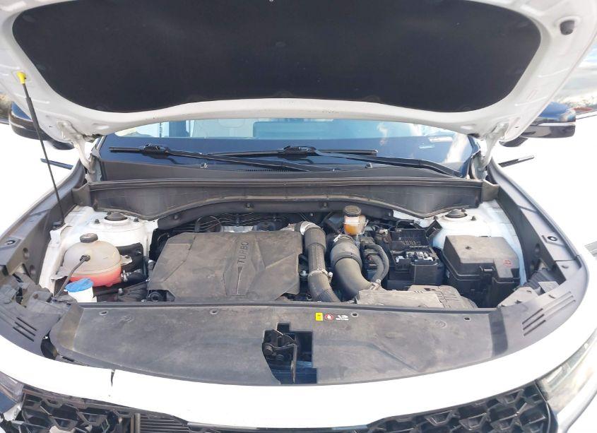 Photo 10 of 2021 Kia Sorento SX (VIN 5XYRKDLF3MG039609)