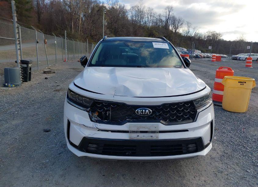 Photo 12 of 2021 Kia Sorento SX (VIN 5XYRKDLF3MG039609)