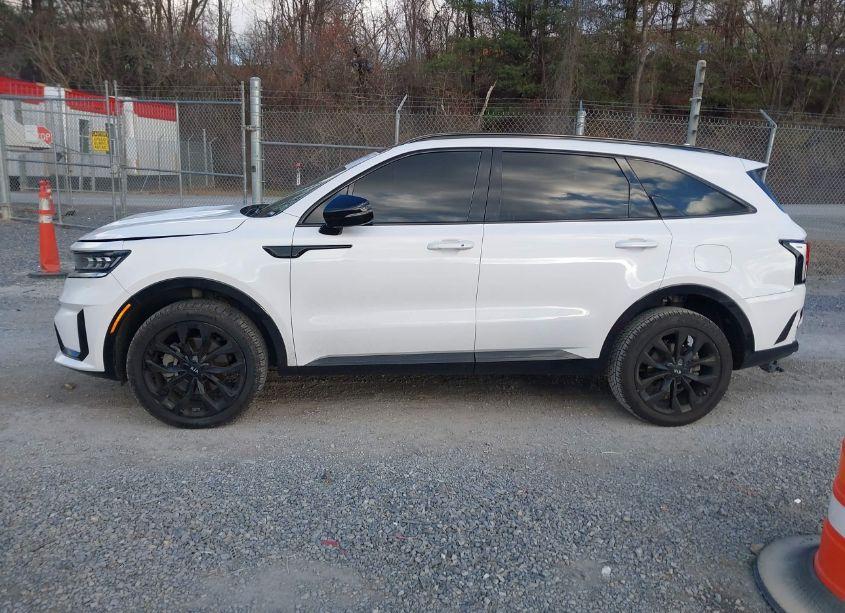 Photo 14 of 2021 Kia Sorento SX (VIN 5XYRKDLF3MG039609)