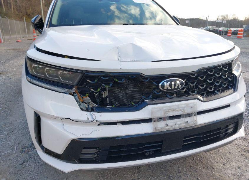 Photo 17 of 2021 Kia Sorento SX (VIN 5XYRKDLF3MG039609)