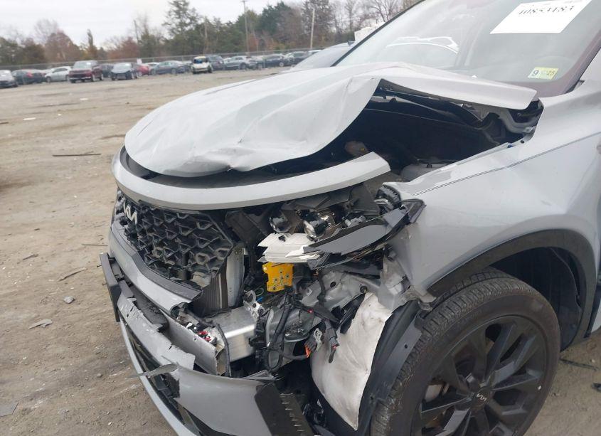 Photo 6 of 2022 Kia Sorento SX (VIN 5XYRKDLF4NG147254)