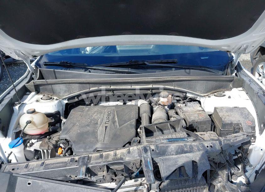 Photo 10 of 2021 Kia Sorento SX (VIN 5XYRKDLF5MG042916)