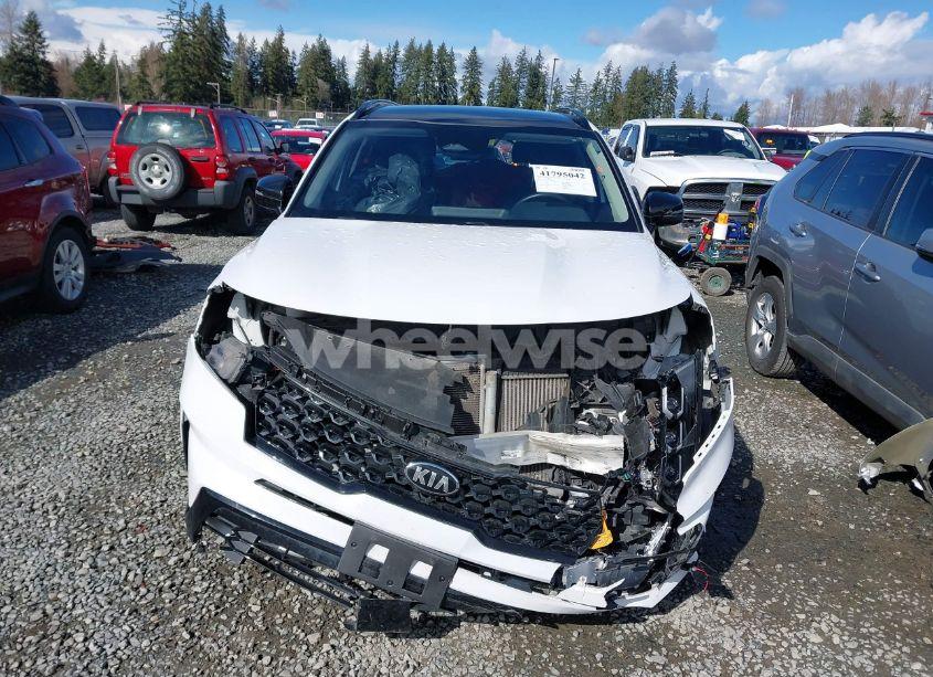 Photo 13 of 2021 Kia Sorento SX (VIN 5XYRKDLF5MG042916)