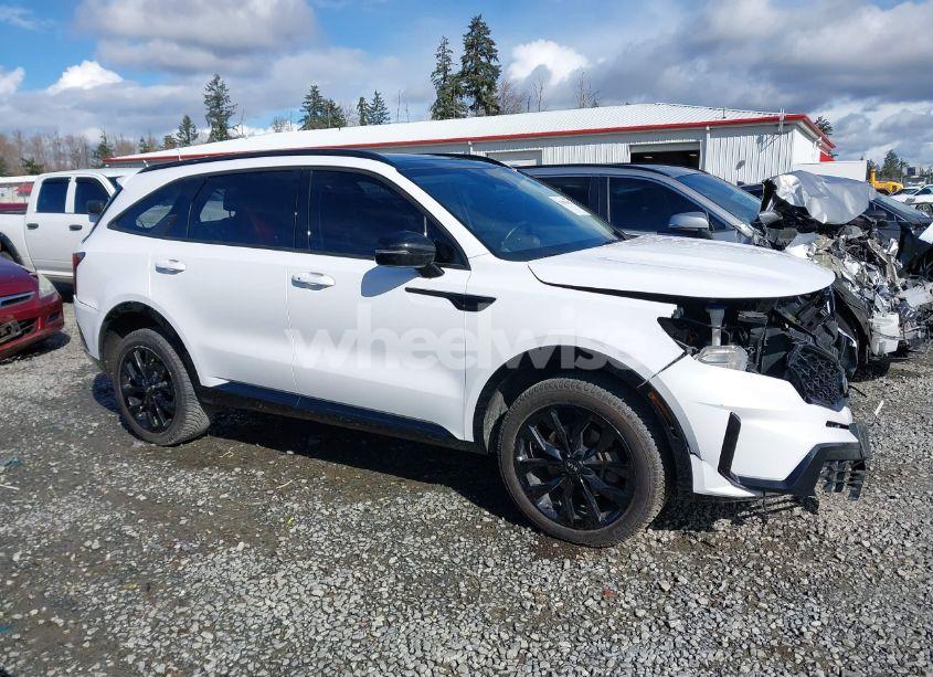 Photo 14 of 2021 Kia Sorento SX (VIN 5XYRKDLF5MG042916)