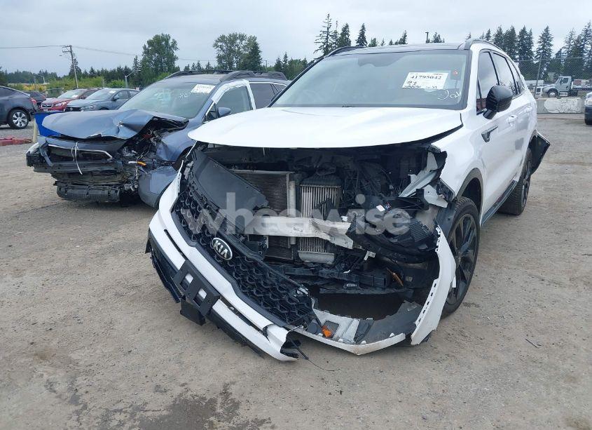 Photo 6 of 2021 Kia Sorento SX (VIN 5XYRKDLF5MG042916)
