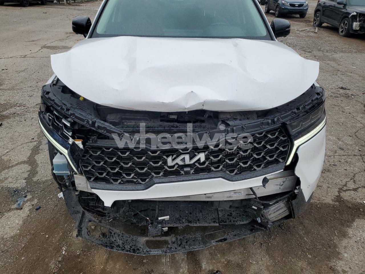 Photo 12 of 2022 KIA SORENTO SX (VIN 5XYRKDLF5NG102016)
