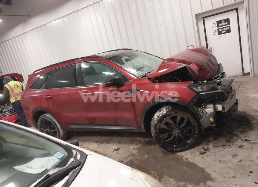 Photo 14 of 2021 Kia Sorento SX (VIN 5XYRKDLF6MG050510)