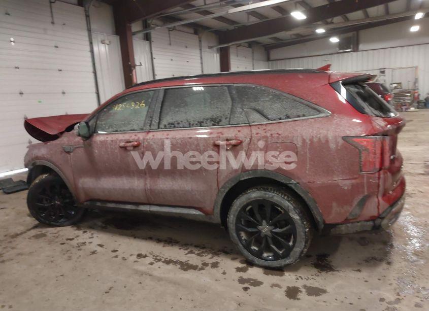 Photo 15 of 2021 Kia Sorento SX (VIN 5XYRKDLF6MG050510)