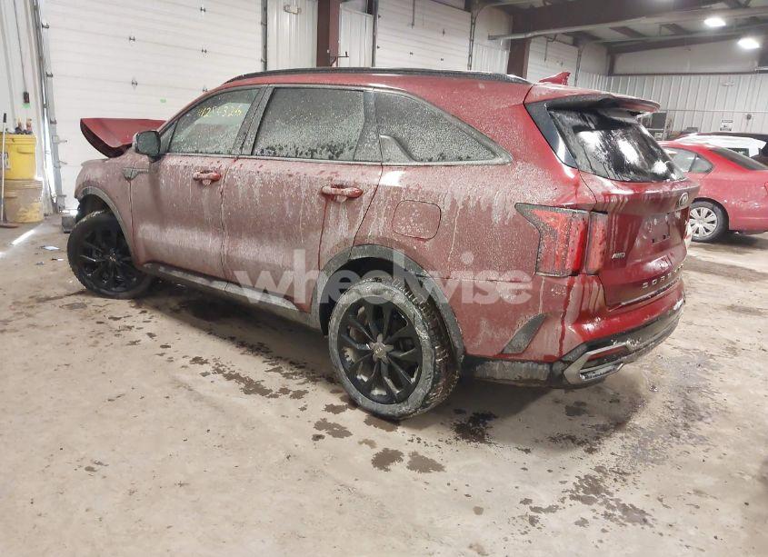 Photo 3 of 2021 Kia Sorento SX (VIN 5XYRKDLF6MG050510)