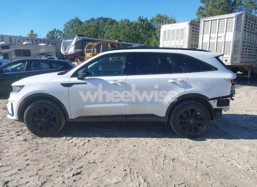 Photo 15 of 2022 Kia Sorento SX (VIN 5XYRKDLF6NG109539)
