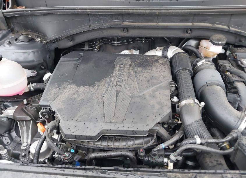 Photo 10 of 2023 Kia Sorento SX (VIN 5XYRKDLF6PG194644)