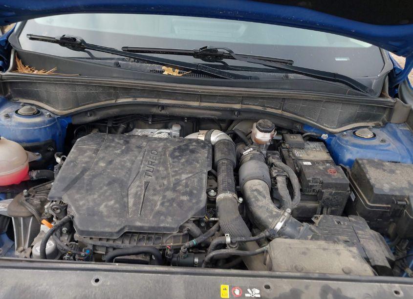 Photo 10 of 2021 Kia Sorento SX (VIN 5XYRKDLF7MG024577)