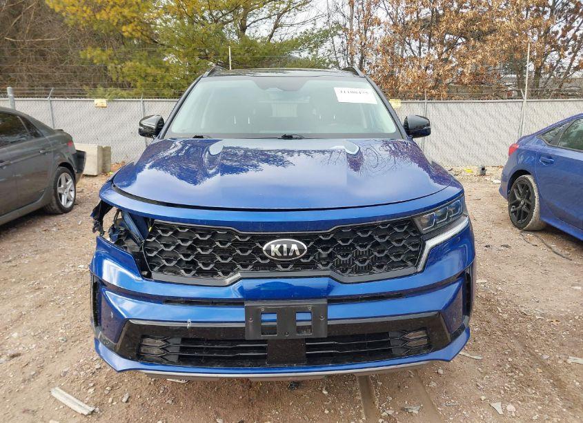 Photo 12 of 2021 Kia Sorento SX (VIN 5XYRKDLF7MG024577)