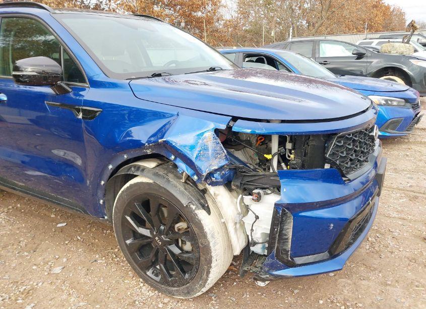 Photo 6 of 2021 Kia Sorento SX (VIN 5XYRKDLF7MG024577)