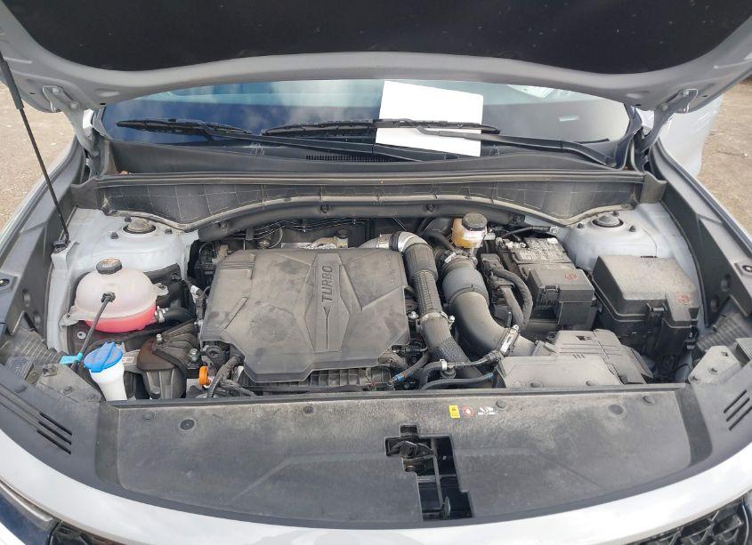 Photo 10 of 2022 Kia Sorento SX (VIN 5XYRKDLF7NG156160)