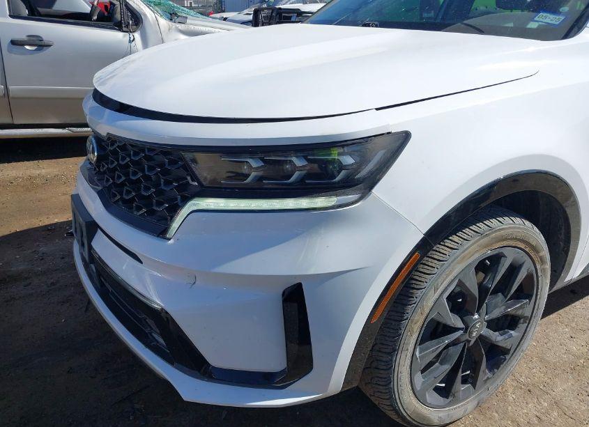 Photo 6 of 2021 Kia Sorento SX (VIN 5XYRKDLF9MG049951)