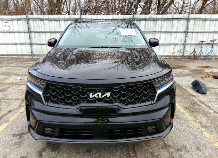 Photo 12 of 2022 Kia Sorento SX (VIN 5XYRKDLF9NG103282)