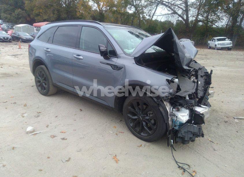 2022 Kia Sorento SX (VIN 5XYRKDLFXNG135206) main photo