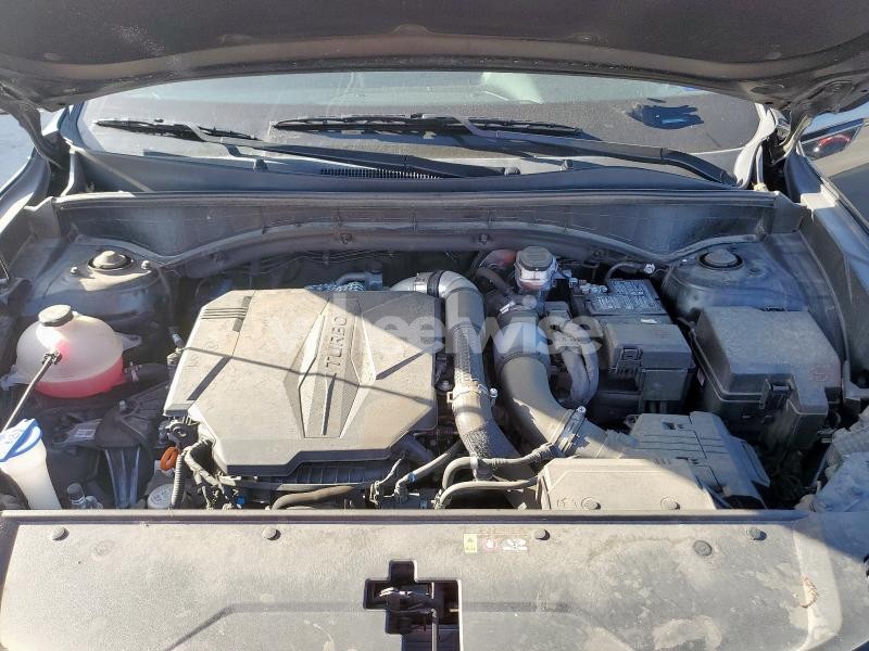 Photo 10 of 2023 KIA SORENTO SX (VIN 5XYRKDLFXPG208402)