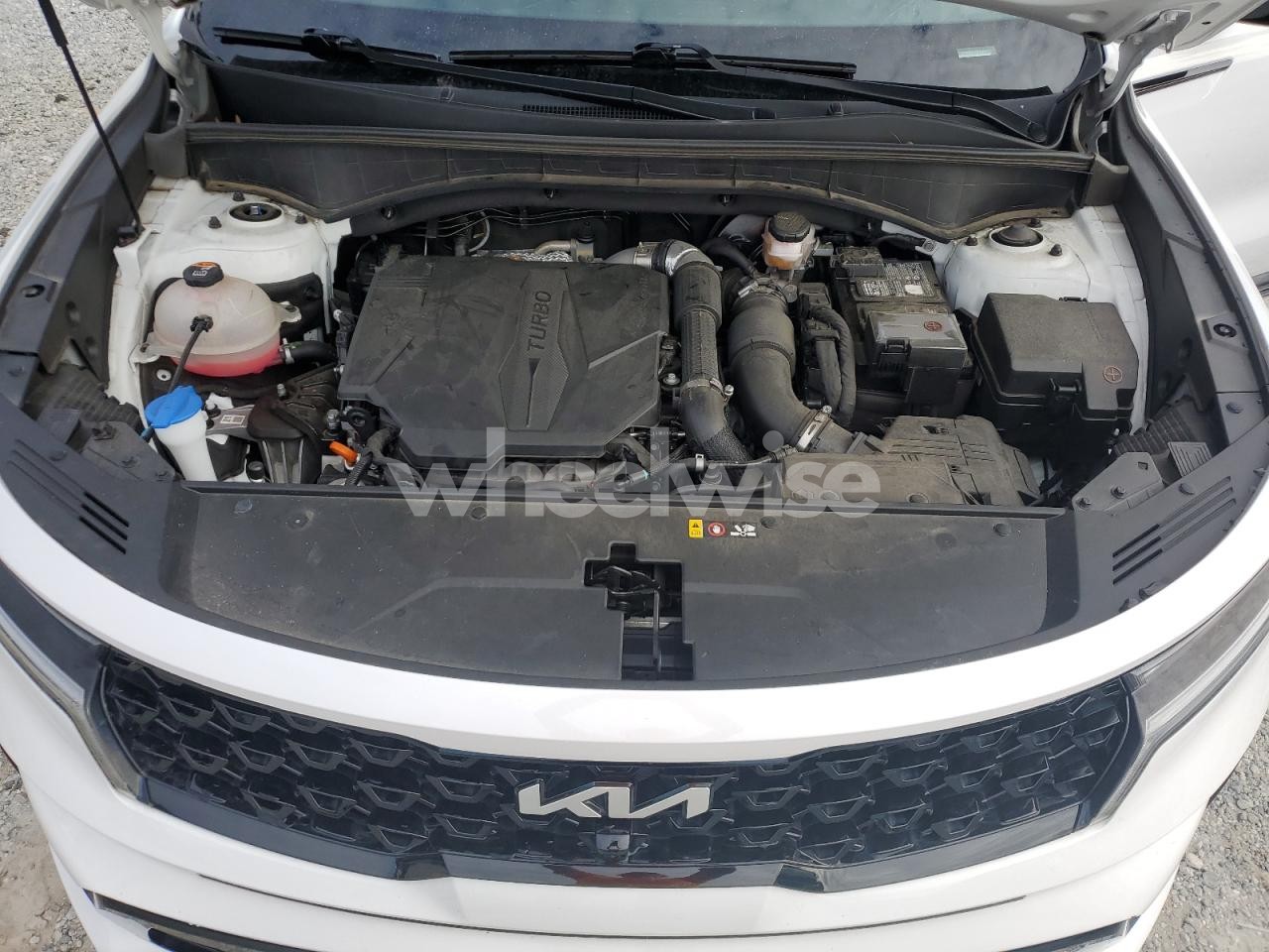 Photo 12 of 2023 KIA SORENTO SX (VIN 5XYRKDLFXPG226074)