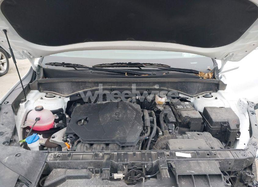 Photo 10 of 2024 Kia Sorento S (VIN 5XYRL4JC0RG280895)