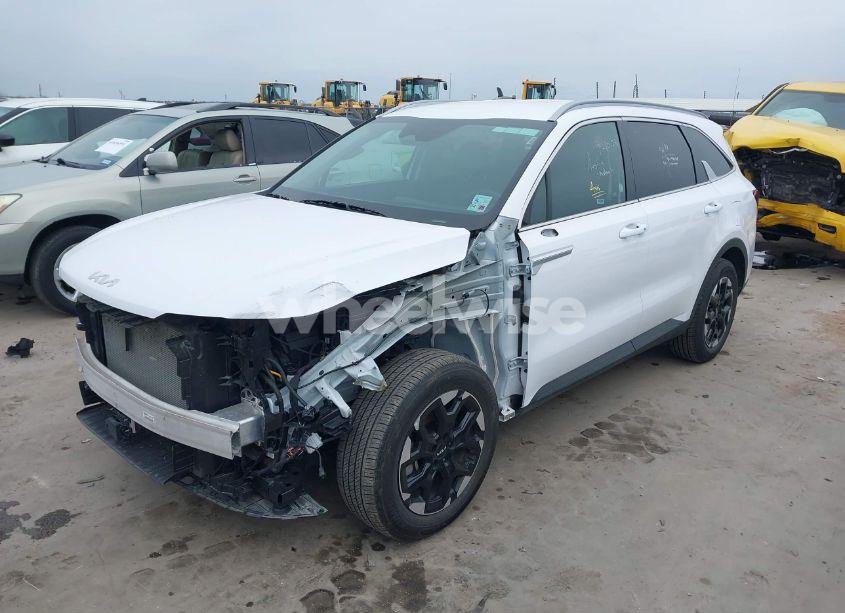 Photo 2 of 2024 Kia Sorento S (VIN 5XYRL4JC0RG280895)