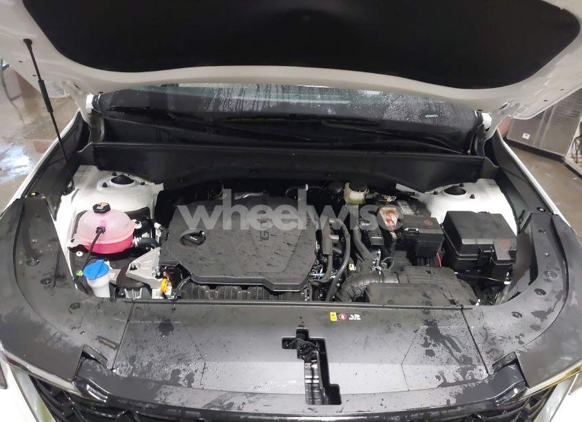 Photo 10 of 2025 Kia Sorento S (VIN 5XYRL4JC0SG315117)