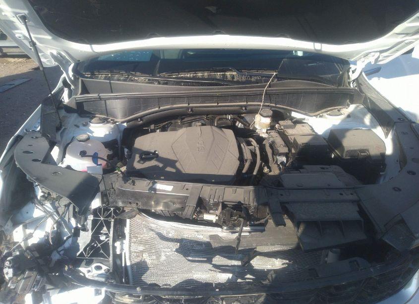 Photo 10 of 2024 Kia Sorento S (VIN 5XYRL4JC1RG280694)