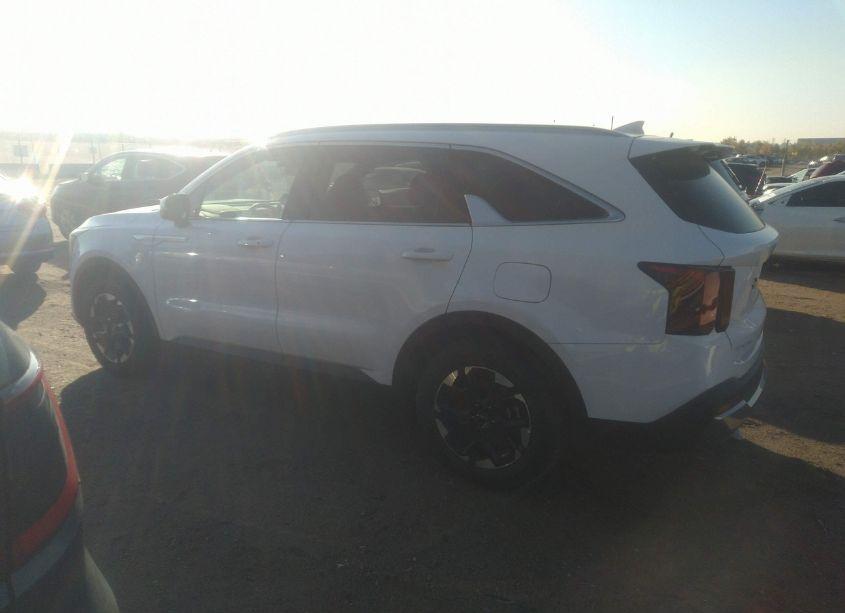 Photo 15 of 2024 Kia Sorento S (VIN 5XYRL4JC1RG280694)