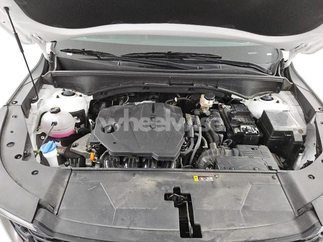 Photo 6 of 2024 KIA SORENTO S (VIN 5XYRL4JC2RG292059)