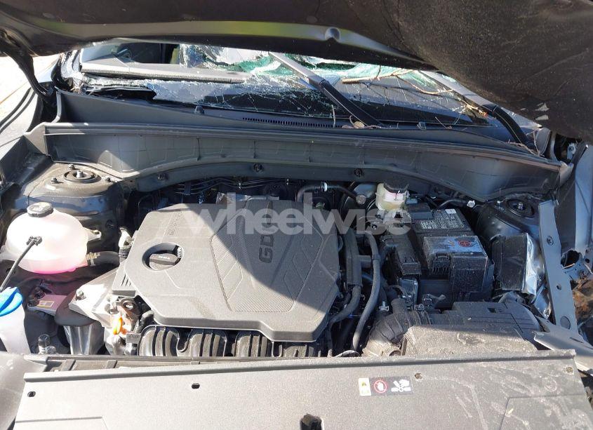 Photo 10 of 2025 Kia Sorento S (VIN 5XYRL4JC2SG323204)