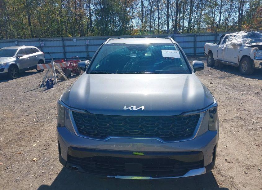 Photo 12 of 2024 Kia Sorento S (VIN 5XYRL4JC3RG285122)