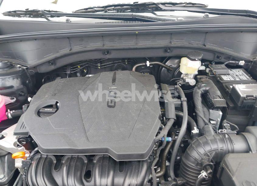 Photo 10 of 2025 Kia Sorento S (VIN 5XYRL4JC3SG353280)