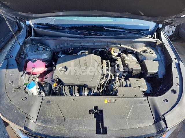 Photo 12 of 2025 KIA SORENTO S (VIN 5XYRL4JC4SG382187)