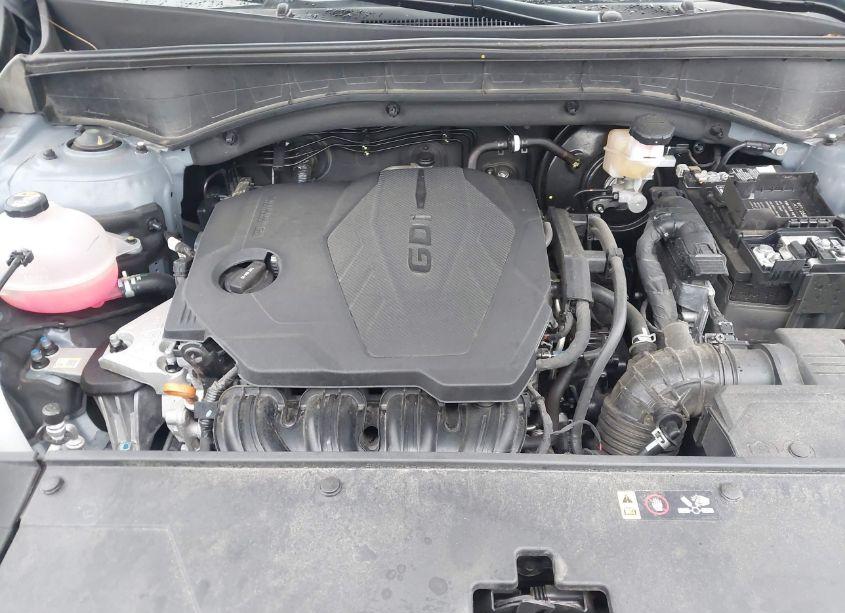 Photo 10 of 2024 Kia Sorento S (VIN 5XYRL4JC5RG275479)