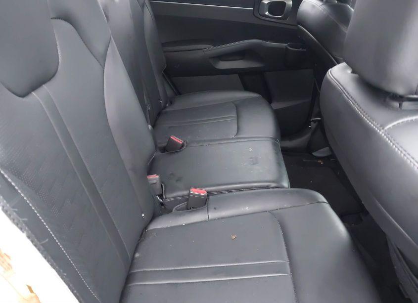 Photo 8 of 2024 Kia Sorento S (VIN 5XYRL4JC5RG275479)